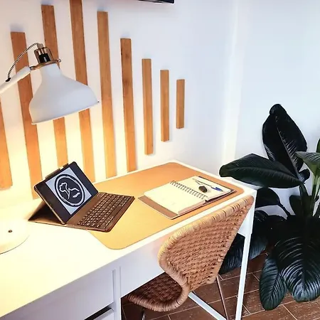 House, Paradise Homes