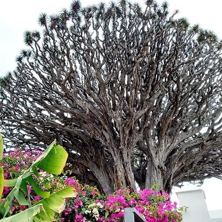 House, Paradise Homes Apartment