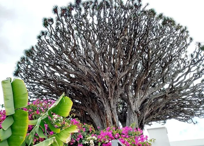 House, Paradise Homes Apartament